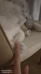 1000006489