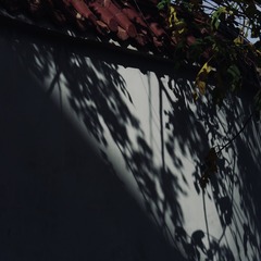B89A653B-1841-4398-B7A1-32883DBBC5D8/L0/001