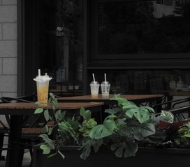 21C3AA59-5CB9-412B-A43F-2FB007239F46/L0/001