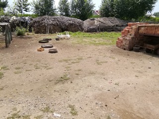 441559