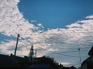 277F7DB9-D666-4471-93E8-DC29679D0DE0/L0/001