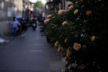 1C11D199-BBF8-4673-AD46-5CC288003147/L0/001