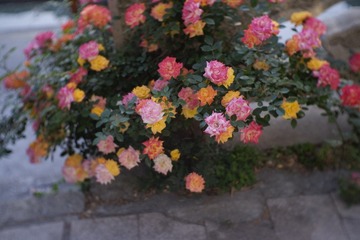 F111F79E-6A98-4965-B502-ED287B5F5956/L0/001