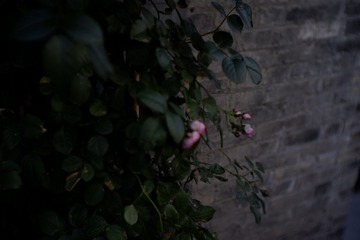 9C4A48B0-0003-46BA-81A8-28BDE9CB763B/L0/001