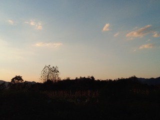 744631