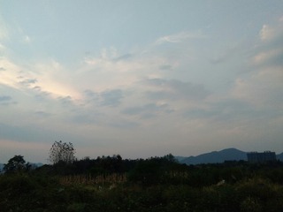 743775