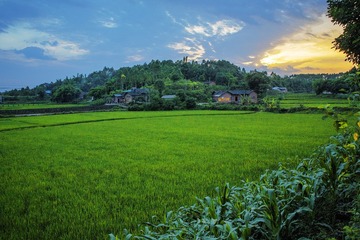 _MG_1186 拷贝