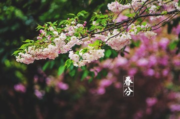 _DSC7316 拷贝