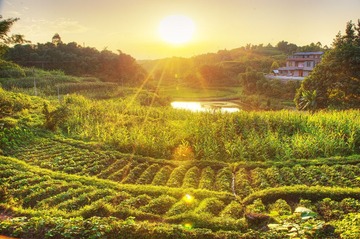 _MG_0840_1_2_tonemapped 拷贝