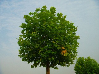 DSCN6014.jpg