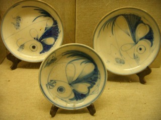 DSCN7061.JPG