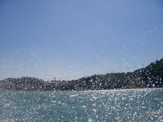 DSCN7350.jpg