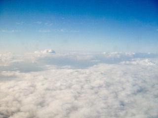 DSCN7786.jpg