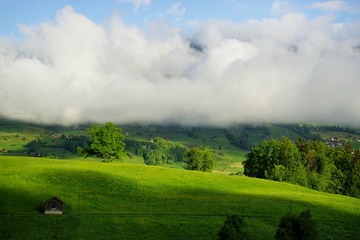 251050