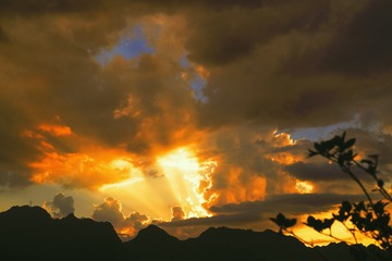 59FEB12C-4C7F-4FFF-B7A0-58ECCFB4602F/L0/001