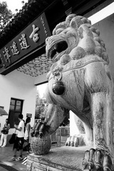 IMGP7200-编辑.jpg