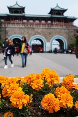 IMGP9215.jpg