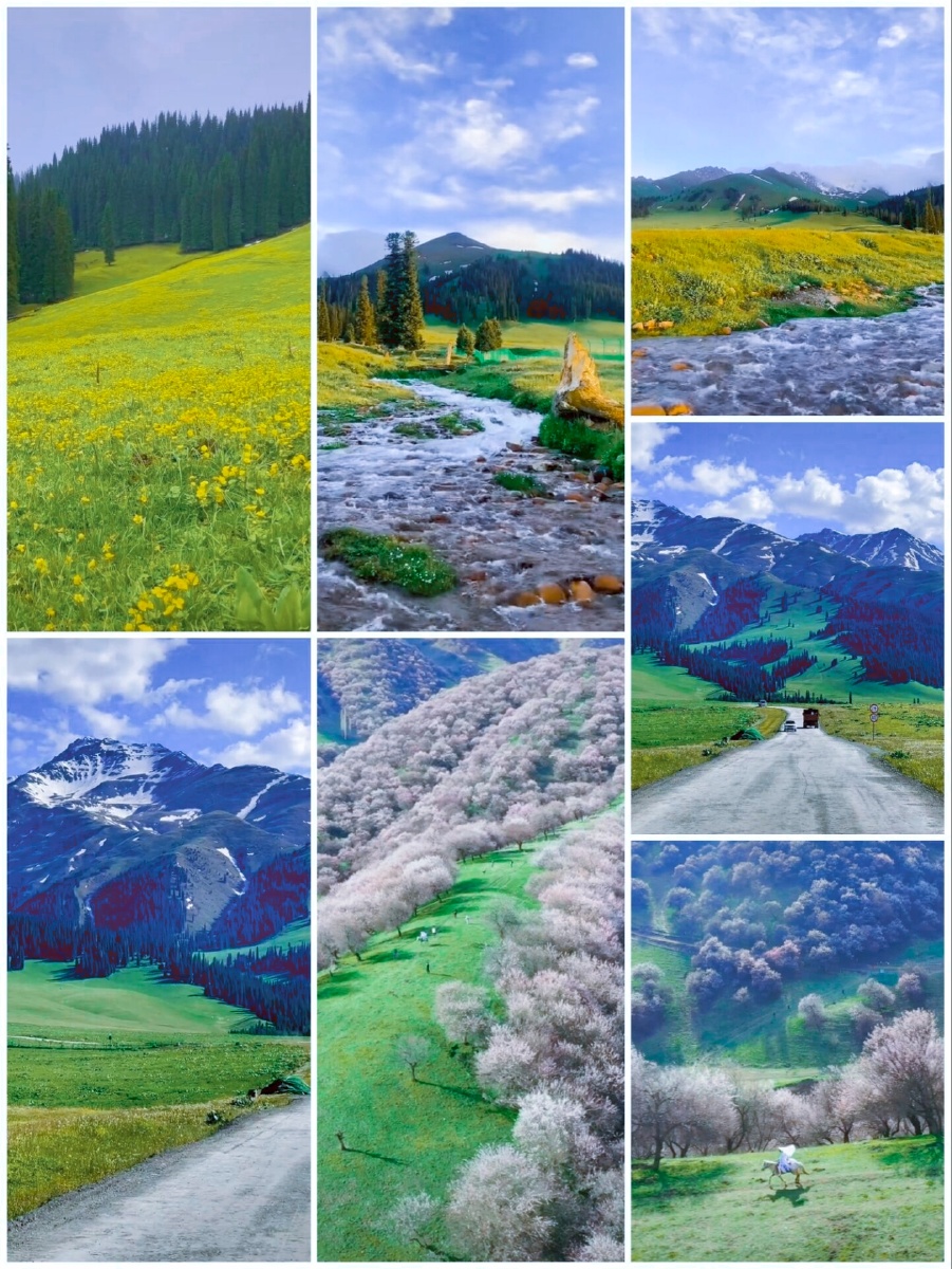 "塞上江南"新疆伊犁,有空去玩吧.