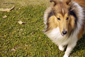 P1000848.JPG