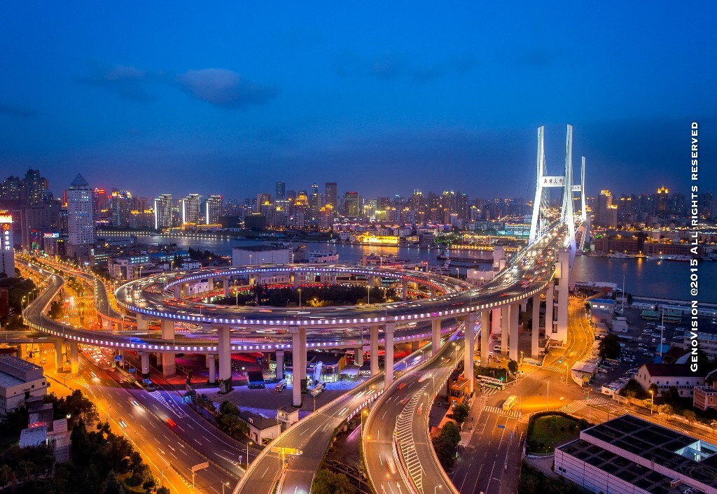 于1991年12月1日正式建成通车。是上海市区第一座跨越黄浦江的大桥。它使上海人圆了“一桥飞架黄浦江”的梦想。大桥全长8,346米，通航净高46米，可通行5万吨级巨轮。