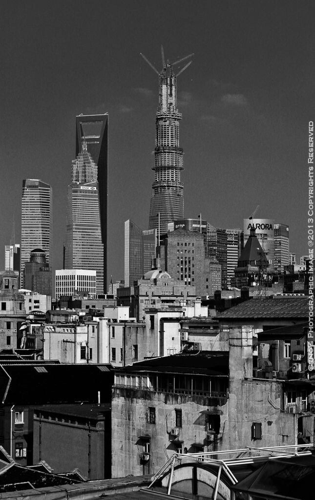 丛林中的的雄起 Erections from the jungle<br />
IMG_4467-33