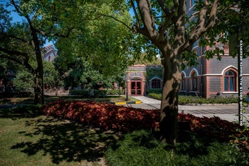 _DSC0710-6