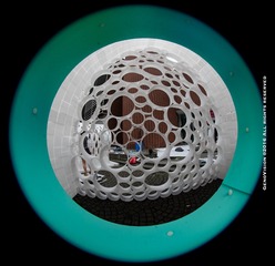 _DSC9243-6