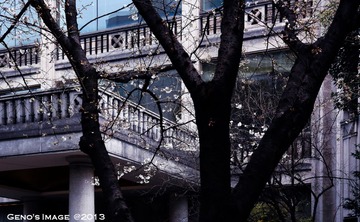 IMG_0578-3.jpg