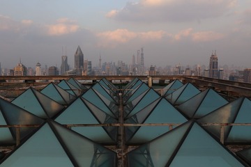 IMG_3516.JPG