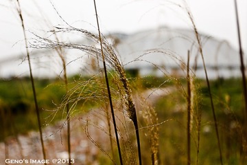 IMG_3801-3.jpg