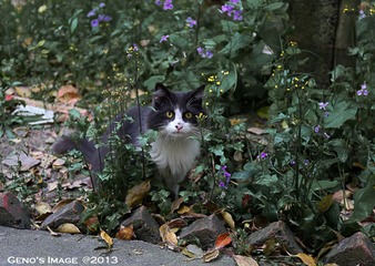 IMG_4432-36.jpg