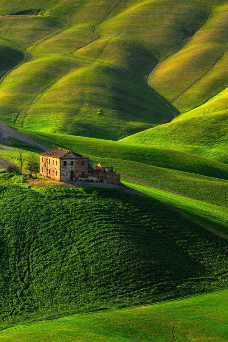 绿色田园风光无限好