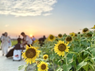 F9A79780-8DDE-47EB-8E1E-9B4E98638318/L0/001