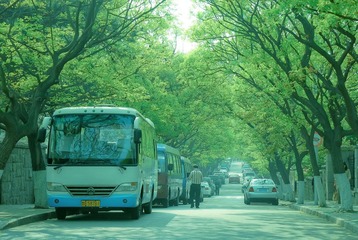 DSC_1743.jpg