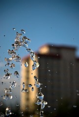 DSC_4893.jpg