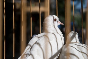 DSC_5427.jpg