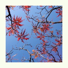 DSCF6129.JPG