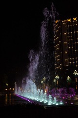 DSC_4257.jpg