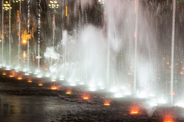 DSC_4284.jpg