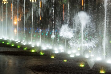 DSC_4286.jpg