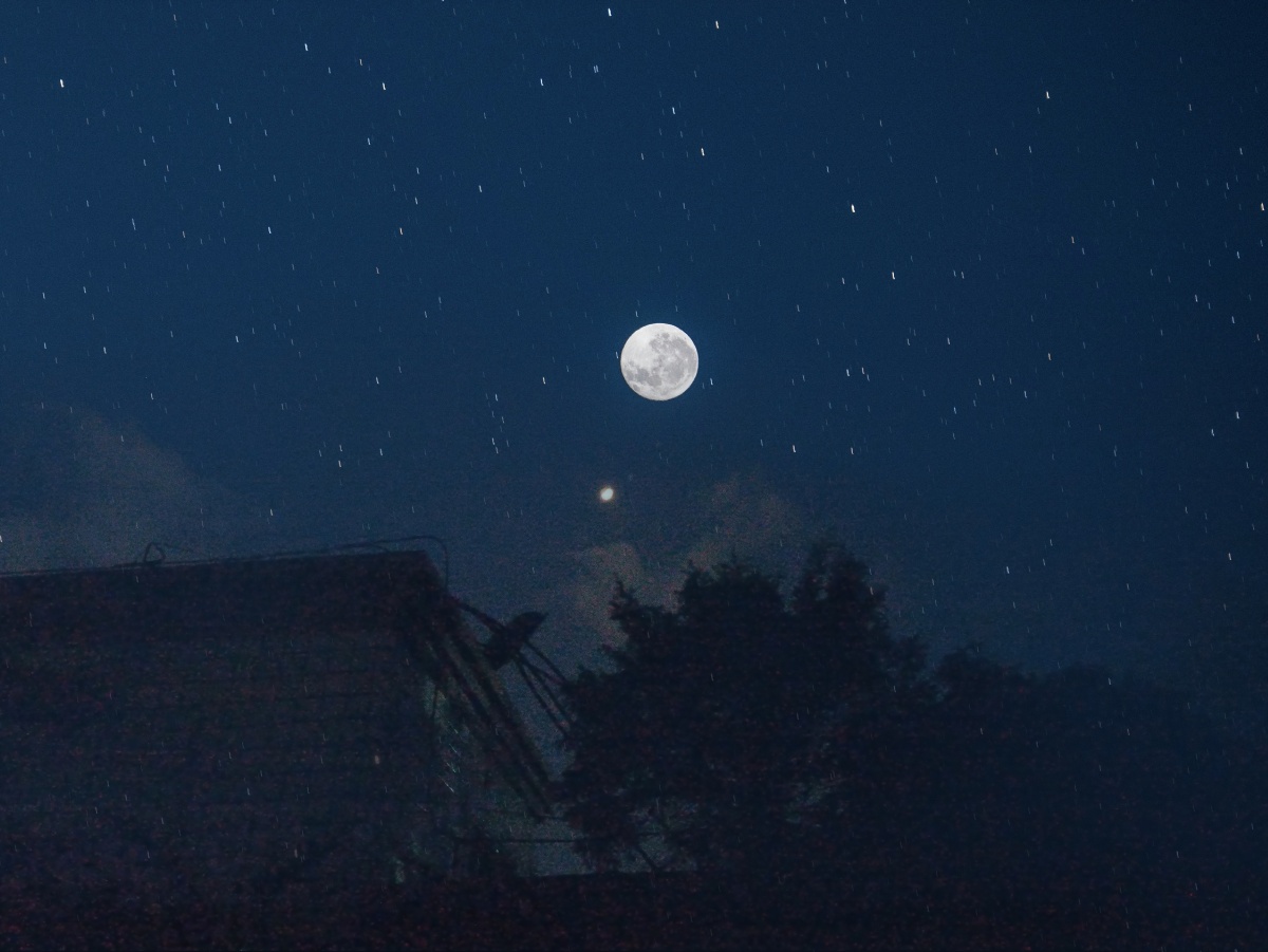 我携满天星月赠你