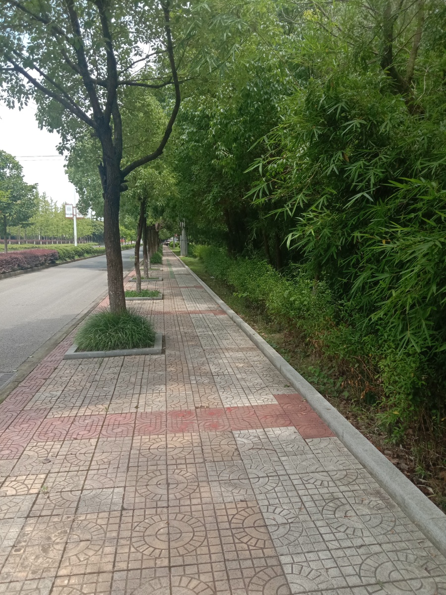 街边风景小路风景