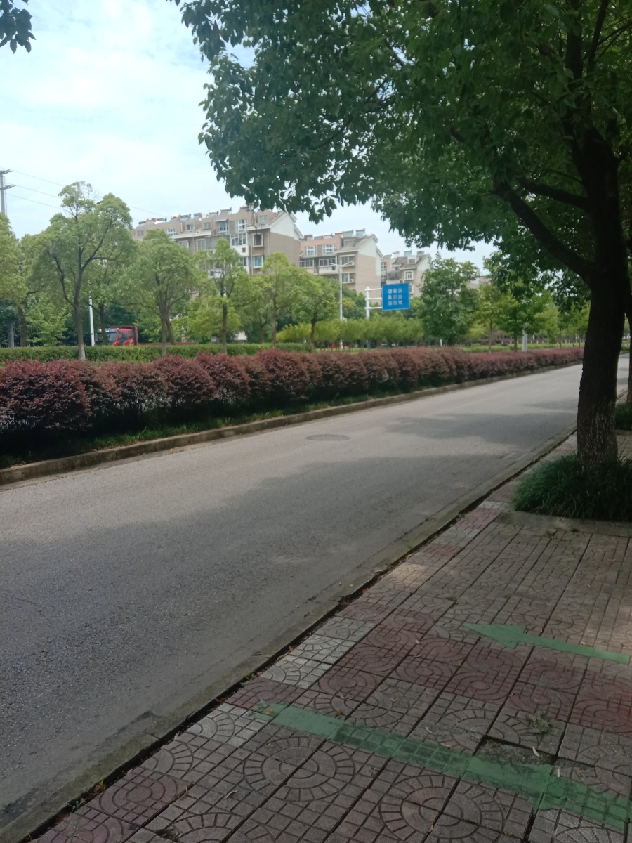 街边风景小路风景