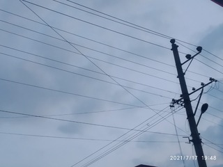 543977
