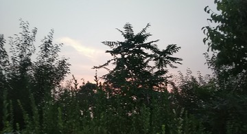 543968