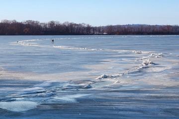 IMG_1027_2.jpg