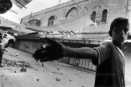Alex Majoli_Palestina, Hebron. Intifada<br />
