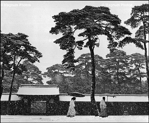 Werner Bischof_Giappone, Tokyo. Giardino del Tempio Meiji<br />
