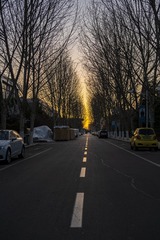 205017