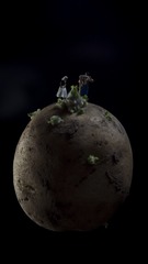 23164